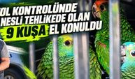 Nesli tehlikede olan 9 kuşa el konuldu