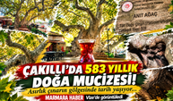 Çakıllı'da 583 yıllık doğa mucizesi! Asırlık çınarın gölgesinde tarih yaşıyor...MARMARA HABER Vize'de görüntüledi