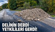 Delinin derdi yetkilileri gerdi!