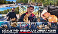 Yağmur yağdı, mantarcılar ormana koştu! İlk günden yüzler güldü...MARMARA HABER mantarcıların mesaisini görüntüledi