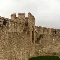 Kültür