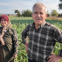 Tarım