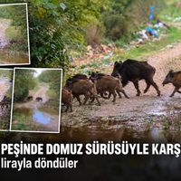 Sağlık