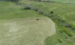Meralarda ot biçimi devam ediyor
