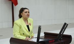 Taşçı’dan Meclis’te sert çıkış: “106’ncı yılında ikinci Sevr ihanetine ortak olmayın”