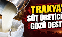 Trakya’da süt üreticisinin gözü destekte