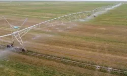 Edirne’de çiftçiye sulama hibesi! Liste açıklandı