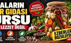 Sofraların süper gıdası: Turşu sadece lezzet değil!