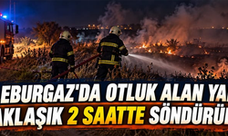 Kırklareli Lüleburgaz'da otluk alanda çıkan yangın yaklaşık 2 saatte söndürüldü