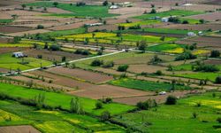 Edirne'de ev arsa fiyatları ne kadar? İlçelerde ev ve arsa fiyatları