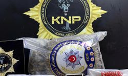 Kırklareli'de uyuşturucu operasyonunda 2 tutuklama