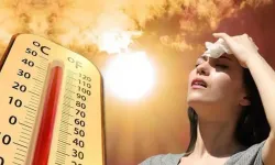 Soğuklara kısa mola! Pastırma sıcakları için tarih verildi
