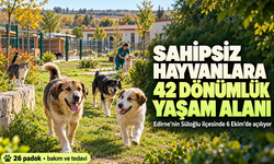 Edirne'de sahipsiz hayvanlar için 42 dönümlük doğal yaşam alanı açılıyor