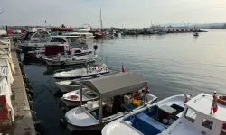 Tekirdağlı balıkçılar rota değiştirdi! Palamut bereketi Karadeniz'e taşıdı