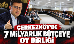 Çerkezköy'de 7 milyar TL'lik bütçeye oy birliği