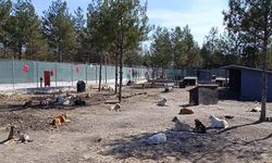 Edirne’de 42 dönümlük doğal yaşam alanı açıldı