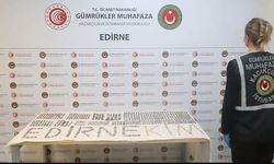 Sınırda tarihi eser operasyonu: 7 bin 160 parça ele geçirildi