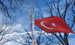 İki ağaç arasında 18 yıllık bayrak nöbeti! Demirköylü vatandaşın örnek vefasını MARMARA HABER görüntüledi