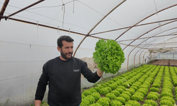 Yaz kış ekmeğini topraktan çıkartıyor! MARMARA HABER Kapaklılı seracıya işin zorluklarını sordu