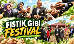 Fıstık gibi festival