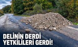 Delinin derdi yetkilileri gerdi!