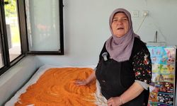 Vize'de Meral teyzenin kış hazırlığı! Topladığı meyveleri lezzete dönüştürüyor...MARMARA HABER'e evinin kapılarını açtı