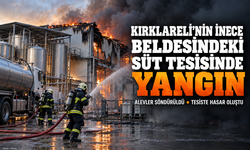 Kırklareli'nin İnece beldesindeki süt tesisinde yangın