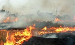İpsala Ovası'nda anız yakan 11 kişiye yasal işlem!