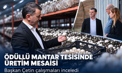 Ödüllü mantar tesisinde üretim mesaisi