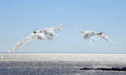 Günün karesi! Türk helikopterlerinden gökyüzünde nefes kesen güç gösterisi