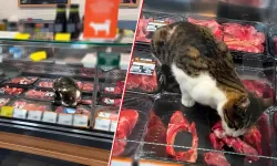 Zincir markette skandal görüntü! Ceza kesildi