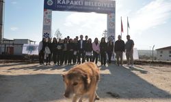 Öğrencilerden sokak hayvanlarına mama desteği!
