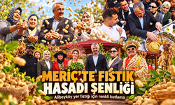 Edirne'de Meriç Alibeyköy Fıstık Hasadı Şenliği düzenlendi