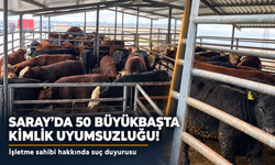 Tekirdağ’da 50 büyükbaş hayvanda kimlik uyuşmazlığı tespit edildi