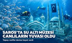 Saros Körfezi’nde batırılan yapay resifler, su altı canlılarının yaşam alanı oldu