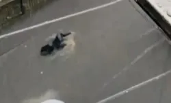 Can pazarı kamerada! Sulara kapılan kadını vatandaşlar kurtardı