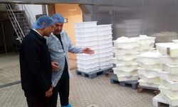 Edirne’de süt ürünleri işletmelerine ‘HACCP’ denetimi
