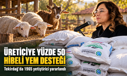 1965 yetiştiriciye 2 milyon 939 bin 700 kilo yem desteği
