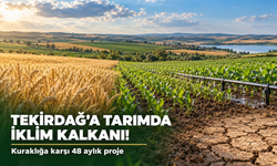 Tekirdağ'a tarımda iklim kalkanı