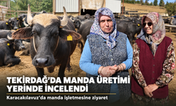 Tekirdağ'da Manda Yetiştiriciliği Gündemde: Karacakılavuz'da Üretim Yerinde İncelendi