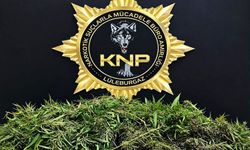 Kırklareli'de zehir tacirine darbe! Tutuklandı