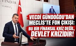 Milletvekili Gündoğdu'dan Meclis'te fon çıkışı