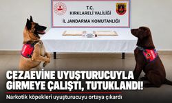 Cezaevine uyuşturucuyla girmeye çalışan hükümlü tutuklandı