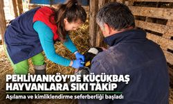 Pehlivanköy'de küçükbaş hayvanlara sıkı takip: Aşılama ve kimliklendirme seferberliği