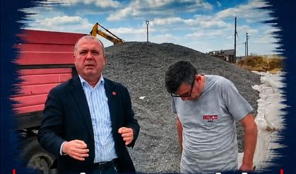 Milletvekili Aygun, ayçiçek tarlasında inceleme yaptı