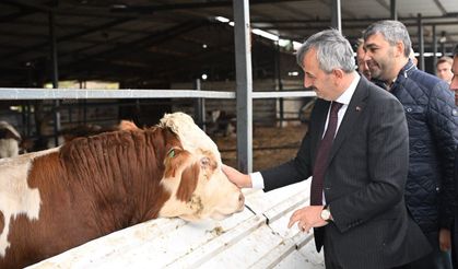 Vali Sezer'den Lalapaşa'da tarım ve hayvancılık hamlesinde yerinde inceleme