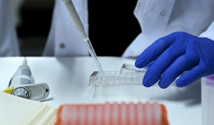 Yasa dışı üreme hücresi iddiası! Soruşturma Trakya'ya uzandı