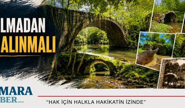 Tarihi köprü harabeye dönmeden önlem alınmalı