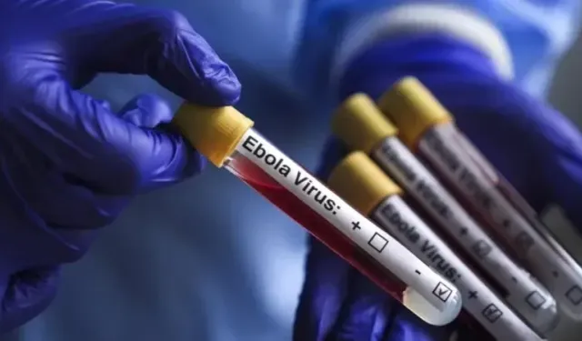 Kongo'da Ebola salgını: 3 bin 95'ten fazla can kaybı