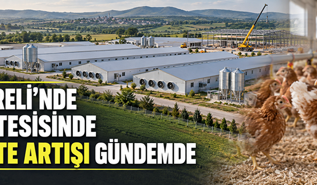 Kırklareli'nde yarka tesisinde kapasite artışı gündemde